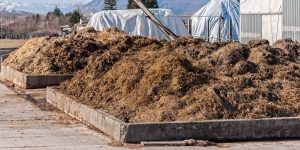 composting process of organic fertilizer