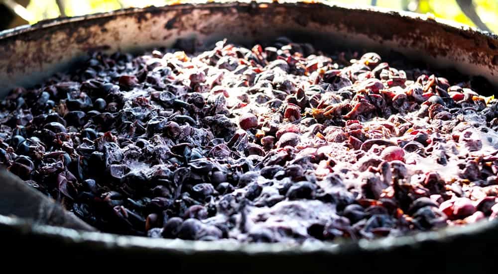 New life for wineries: Composting winery waste