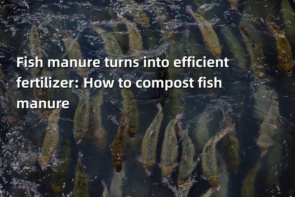 Fish manure turns into efficient fertilizer: How to compost fish manure