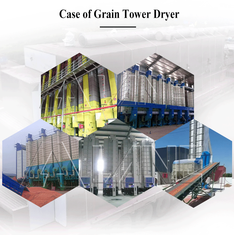 Grain tower dryer-3