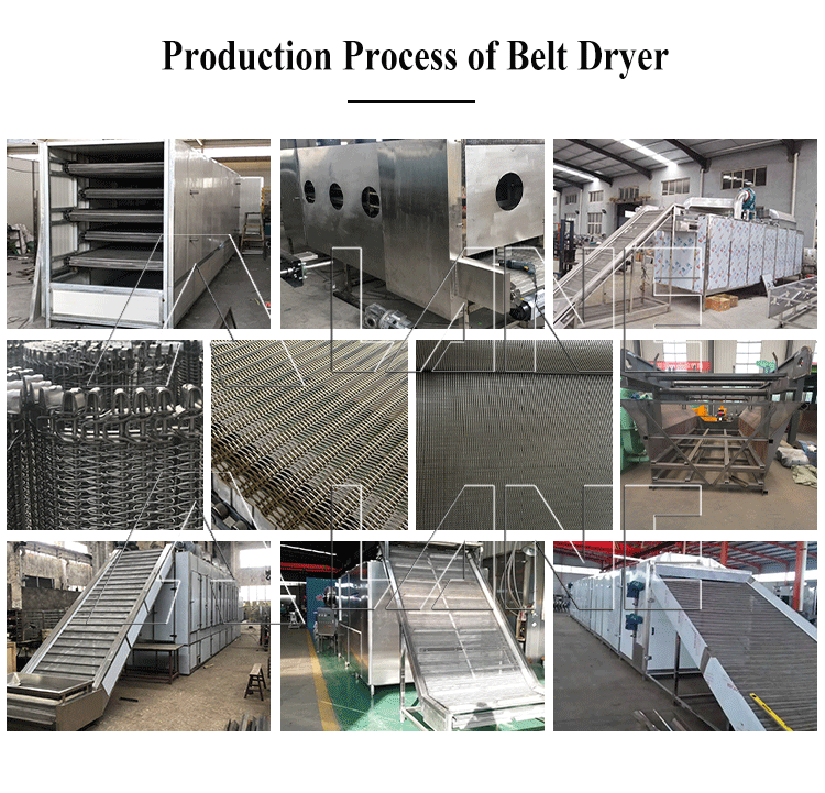 Belt dryer-2