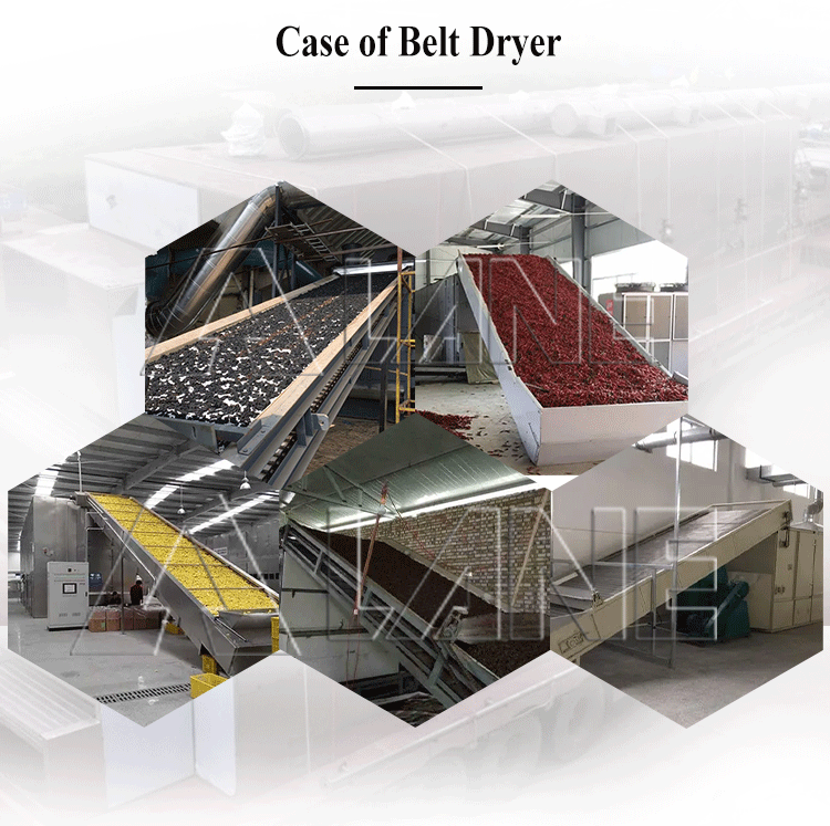 Belt dryer-3