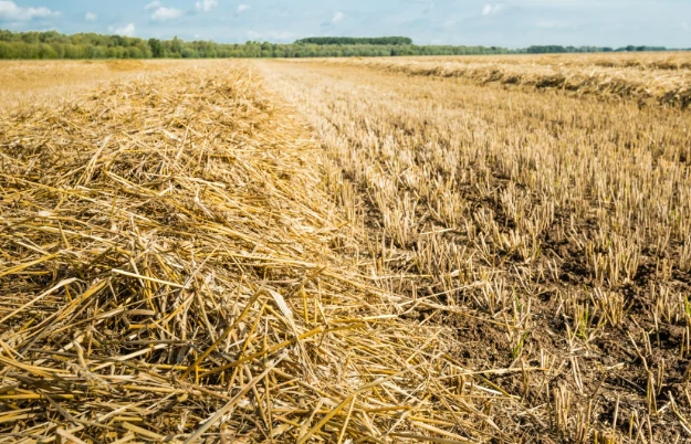 Composting Production Line with Crop Residues