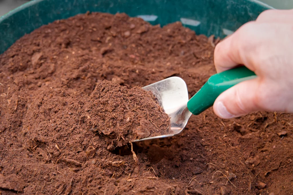 Turning Coffee Grounds into Fertilizer