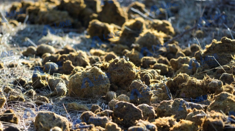 Horse Manure for Organic Fertilizer