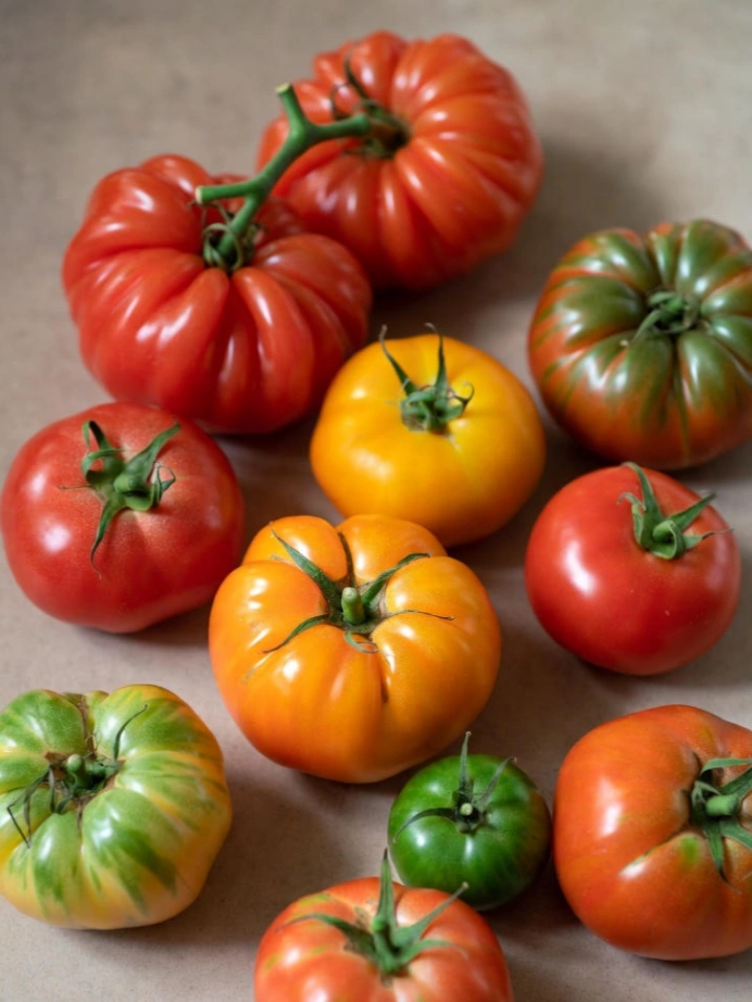 Organic Fertilizers for Vegetables