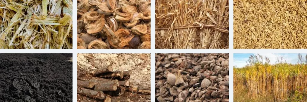 Organic Fertilizer Granulator for Recycling Organic Waste