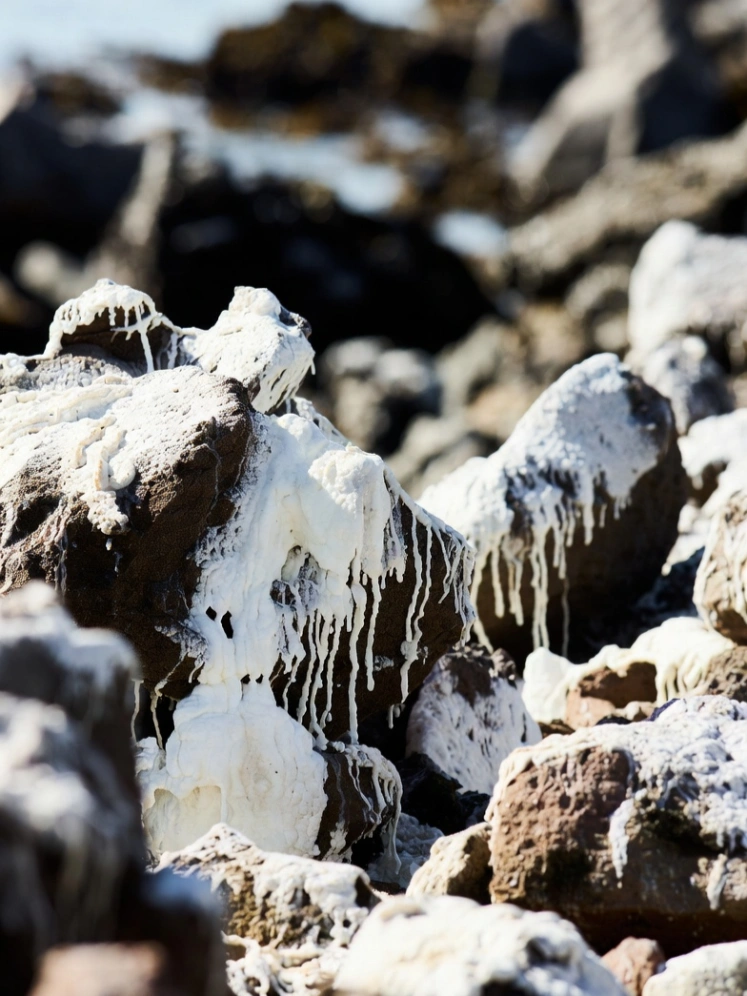 Seabird Guano Fertilizer for Plants is valued for its rich nitrogen-phosphorus profile and powerful organic activity. This article explains how raw seabird guano becomes premium granules through crushing, mixing, fermentation, granulation, drying, cooling, screening and packaging, and why advanced fertilizer equipment ensures high quality and efficiency.