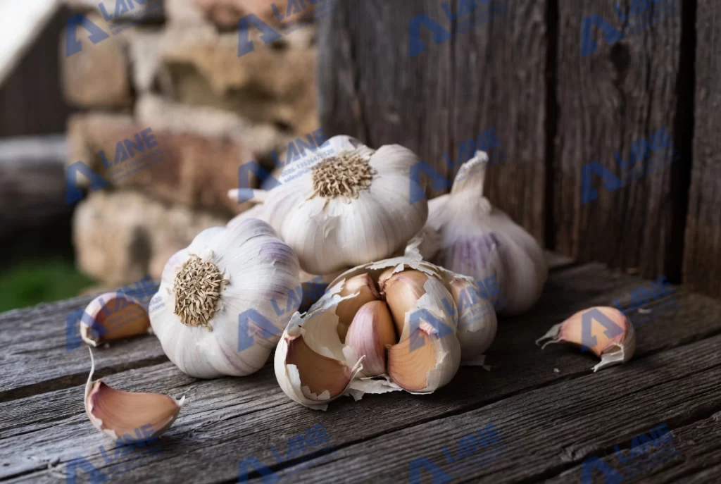 Organic Fertilizer Production Line for Garlic