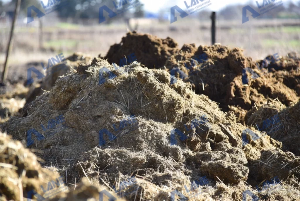 Manure Processing Plant