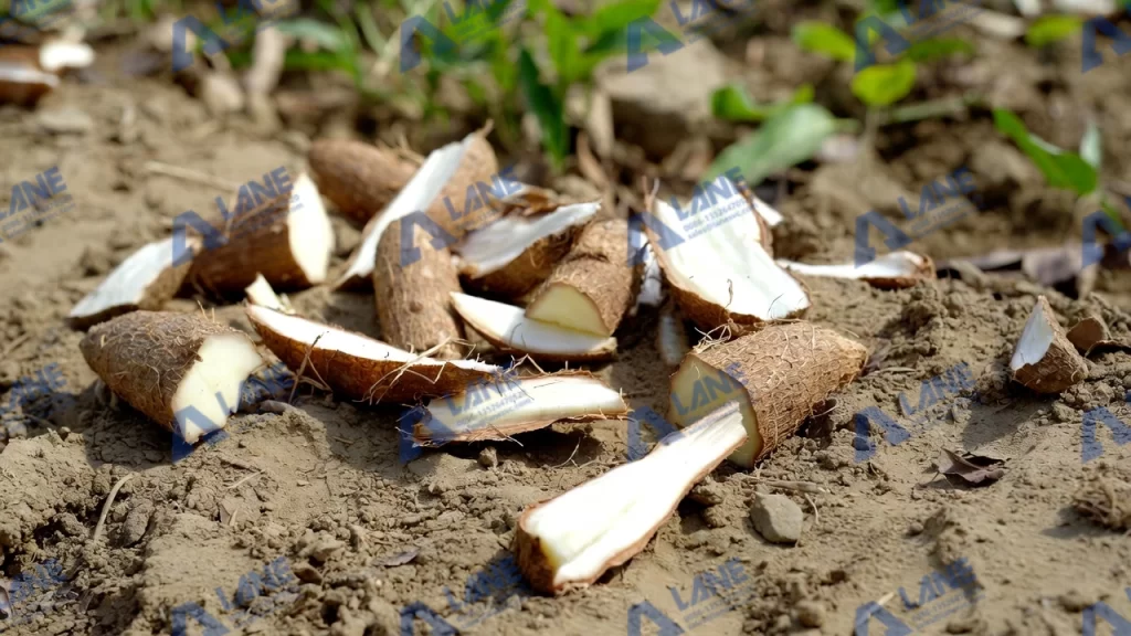 organic fertilizer production line for West Africa