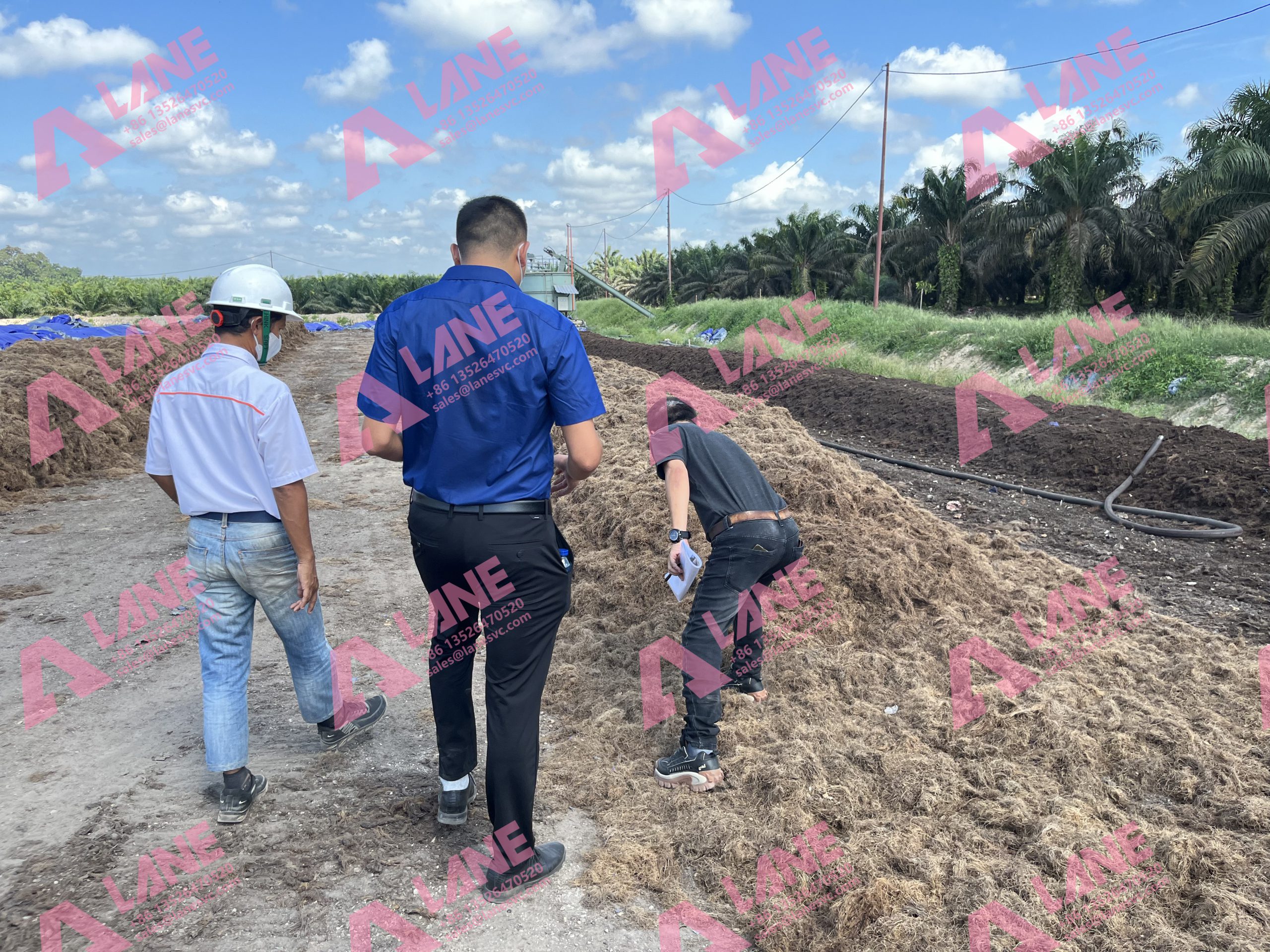 Sheep manure fertilizer production line