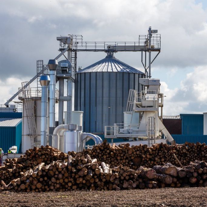 Biomass pellet production line