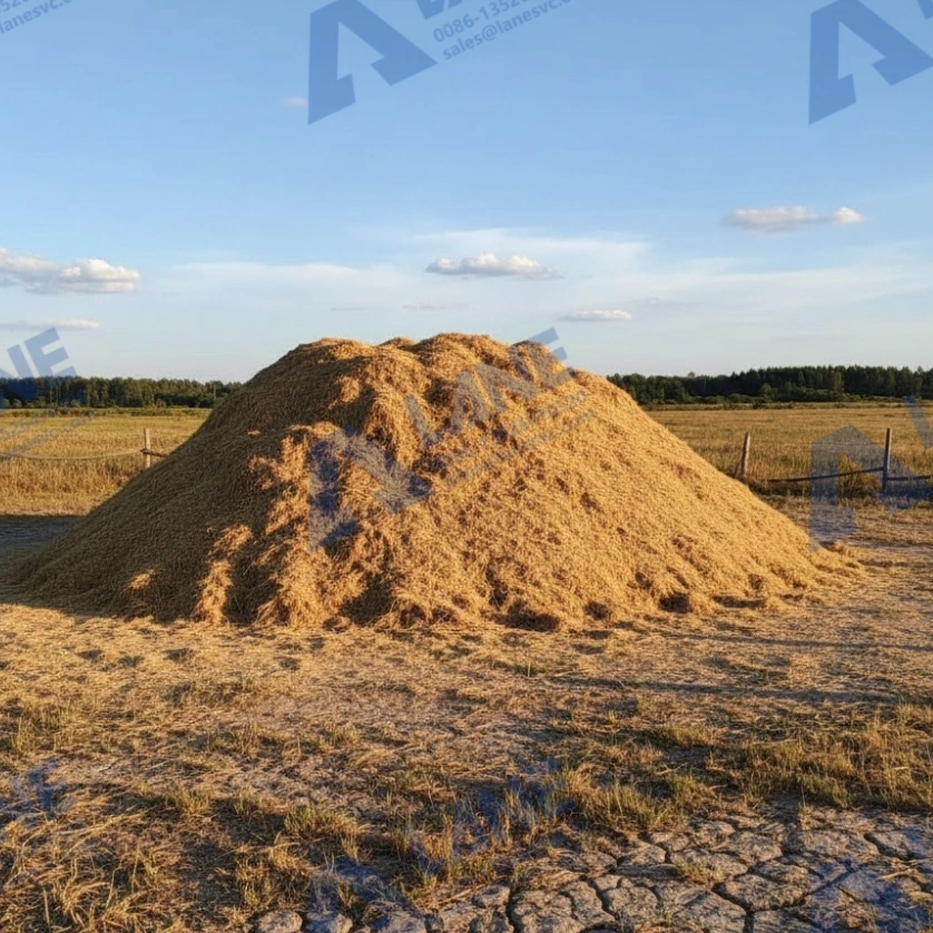 Rice Bran Bio-Organic Fertilizer: A Low-Cost, High-Efficiency Green Option