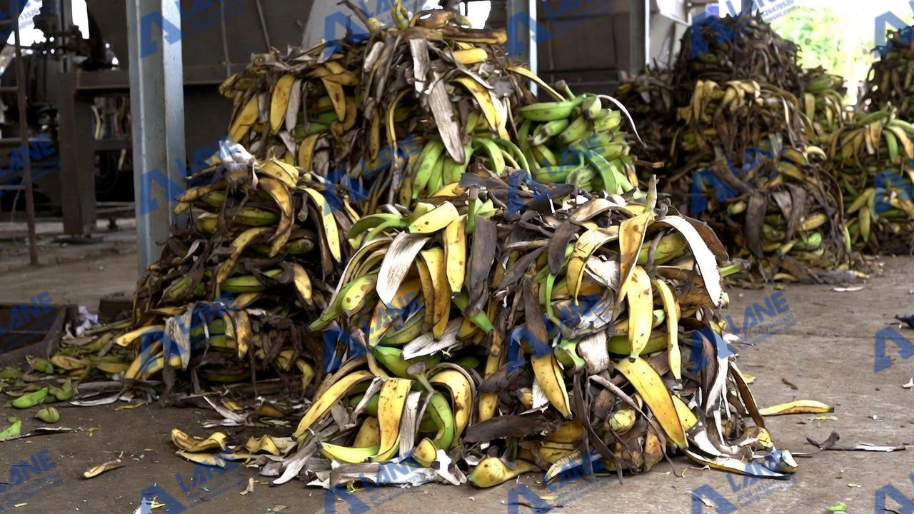 Best Practices for Small Scale Organic Fertilizer Production from Banana Peel in Ecuador with LANE Heavy Industry Machinery