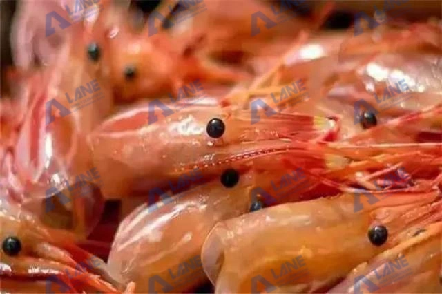 Optimizing Organic Fertilizer Production from Shrimp Shell: Industrial Standards and Its Usage